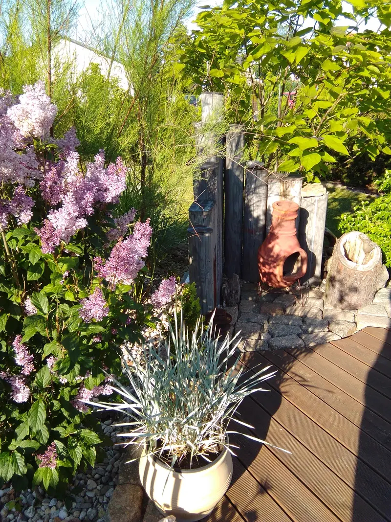 Alte Holzpfähle und ein Baumstumpf als Gartengestaltung neben blühendem Flieder